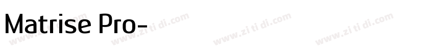 Matrise Pro字体转换